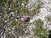 Bergtour-Jenner-015.JPG